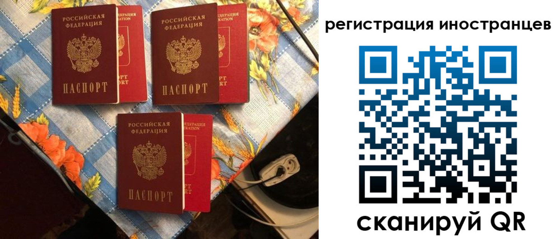 прописка поиск в Кандалакше